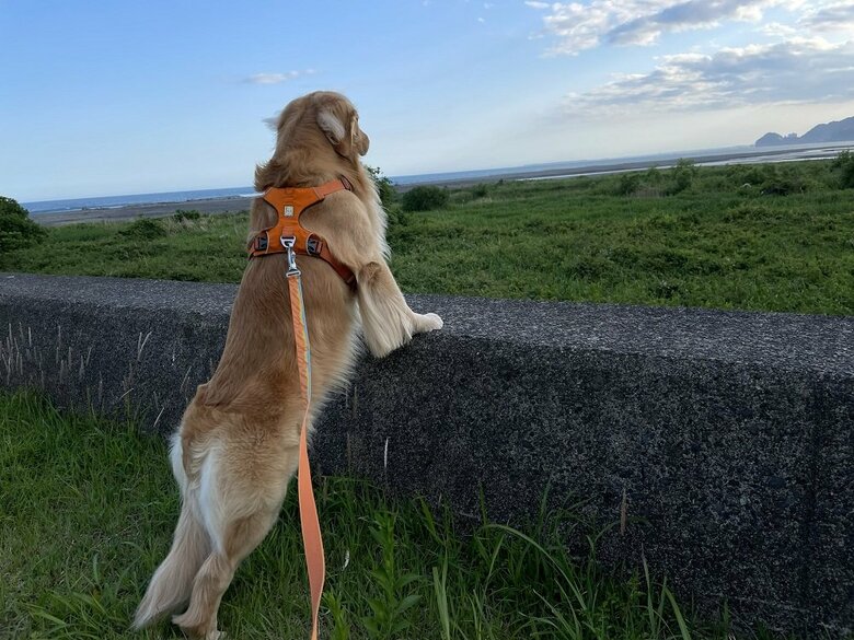 いい眺めだなぁ