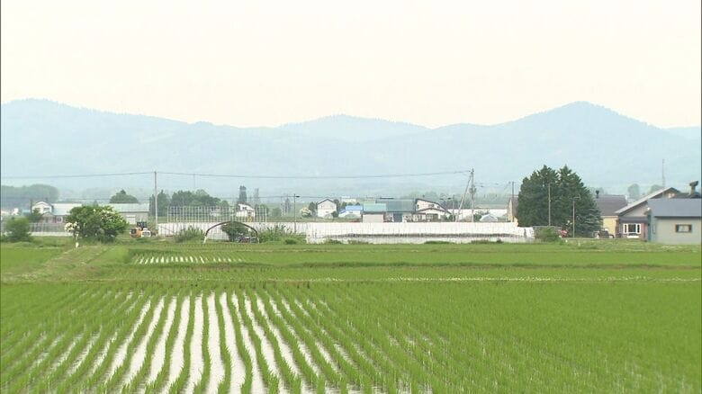 雪の残る3月にいわゆる「青田買い」が―