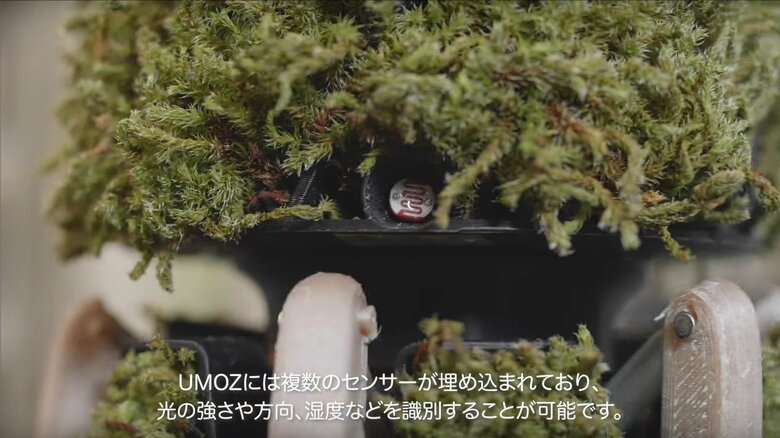 センサーはまるで目のように見える