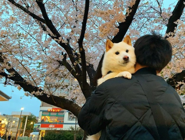 提供：ラッキーさん