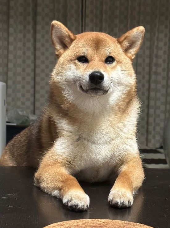 提供：はちさん