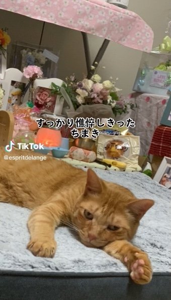 提供：エンとちぃさん