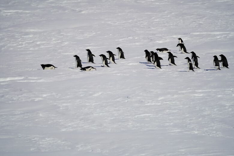 南極（国立極地研究所　提供）