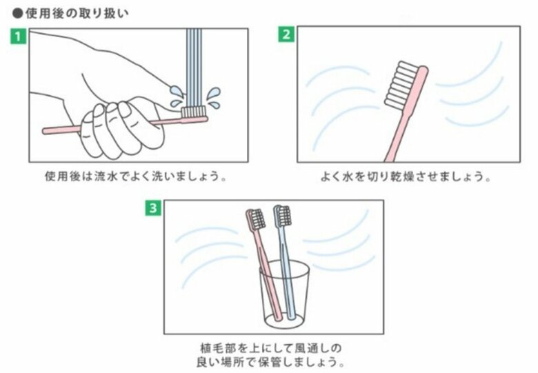 歯ブラシ使用後の取り扱い（提供：ライオン株式会社　生活情報サイト「Lidea」）