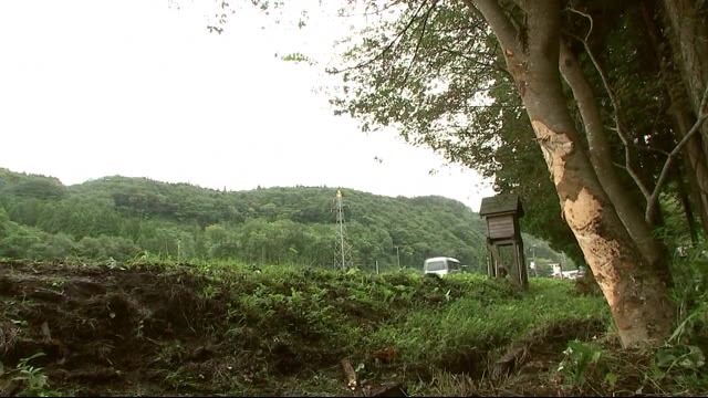 乗用車 立ち木に衝突 男性死亡 一関市の国道<岩手県>