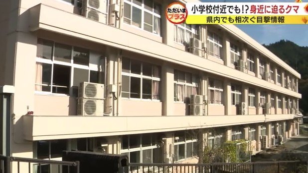 富士宮市の小学校