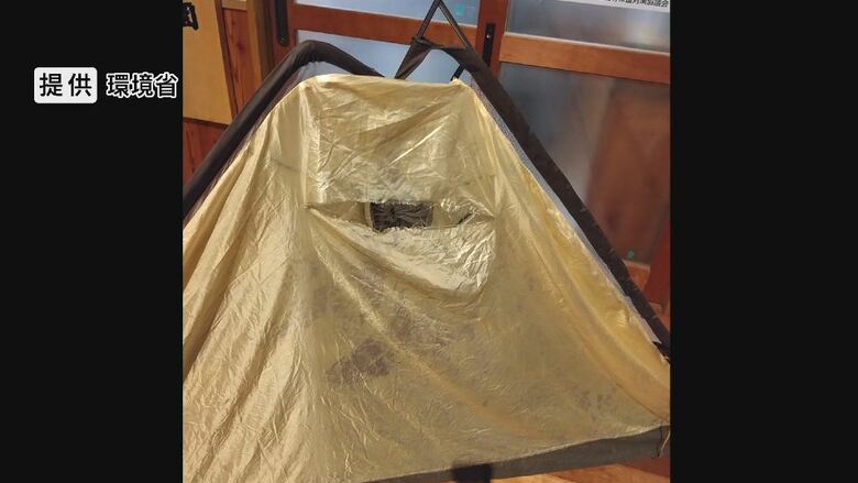 テントが破られる　提供：環境省