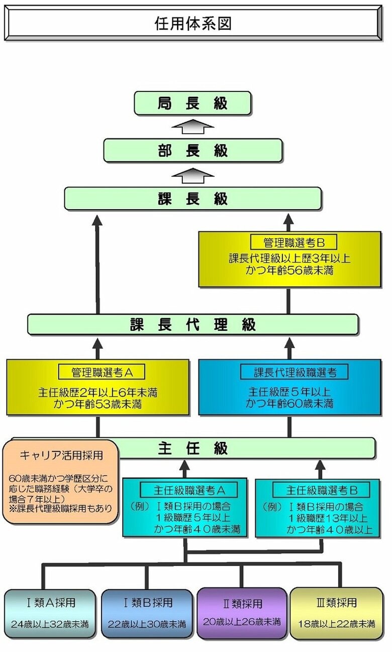 都庁内の昇進と試験の流れ（提供：東京都人事委員会）