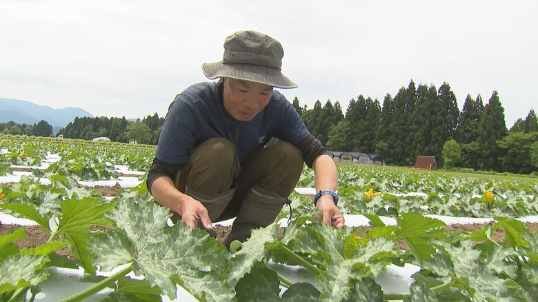 雪下にんじん農家　桑原成夫さん