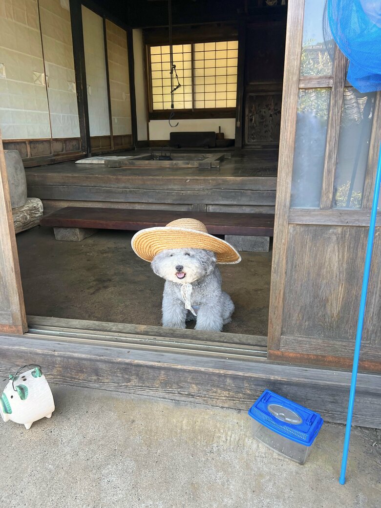 提供：レノン&れあるさん