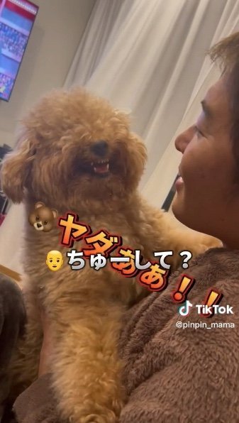 提供：ピン太郎ママさん