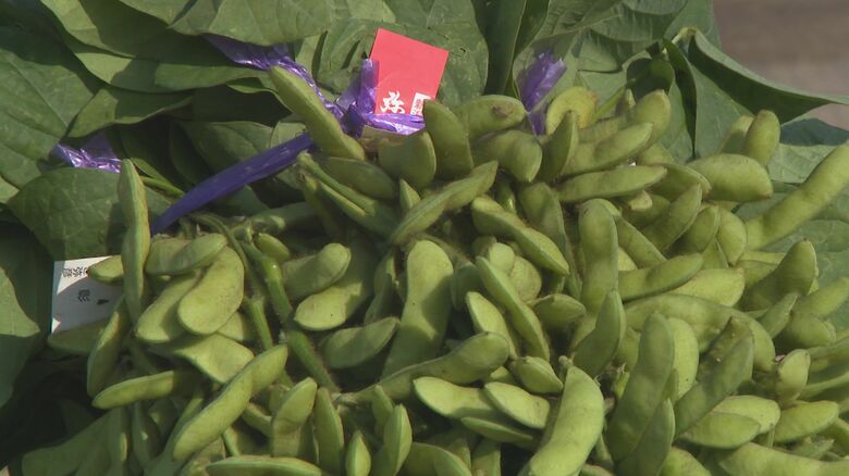 食材などの輸送も