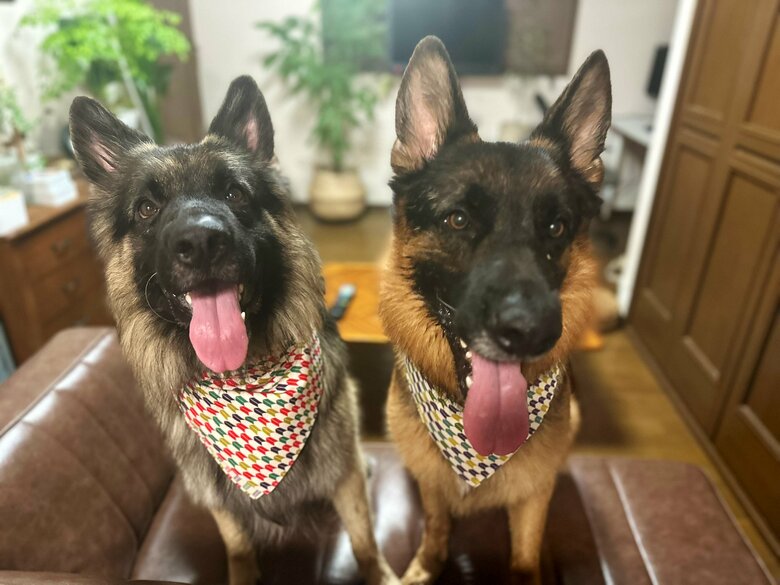 揃ってカメラ目線