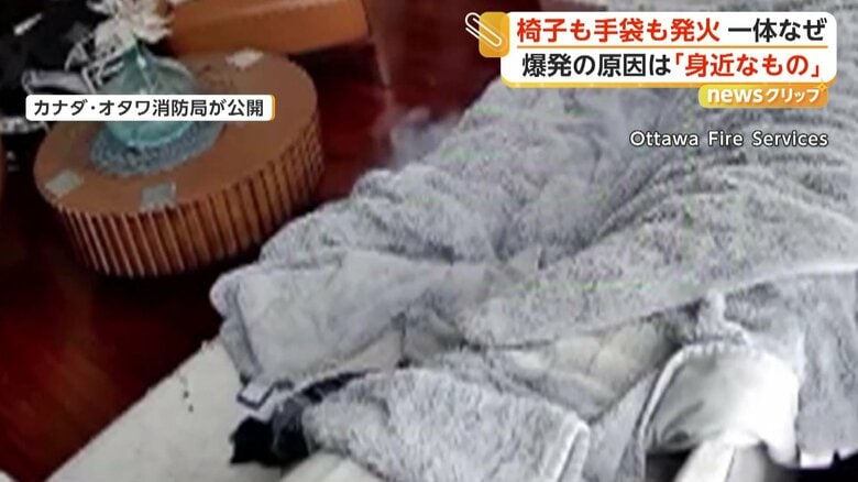 ソファから飛び降りる犬（カナダ）