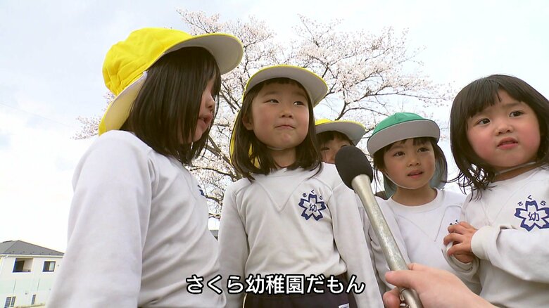 園児たちの自慢のサクラ