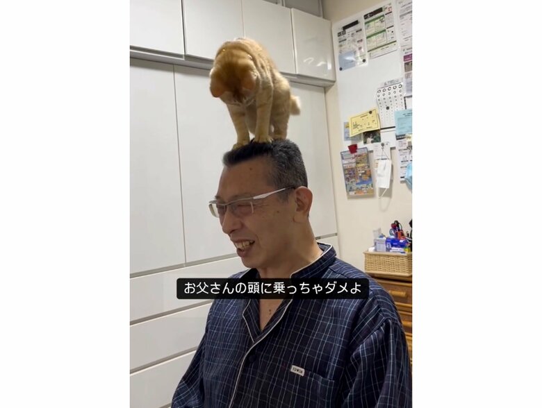提供：cohakuさん