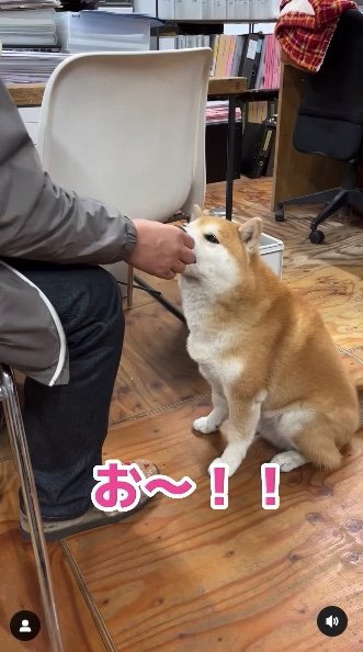 提供：エイトデザイン