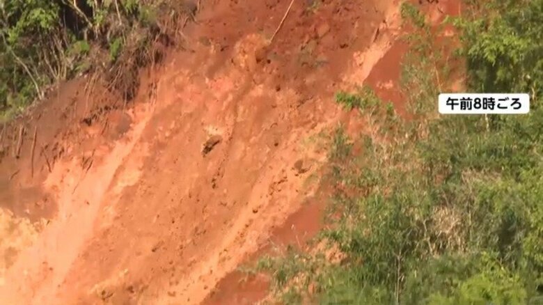 被害の様子（宮崎・延岡市）