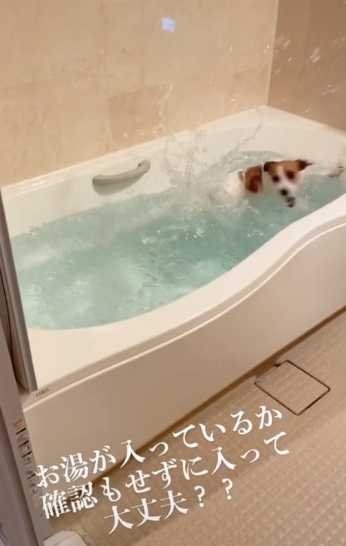 ダイブするとすぐにターン！