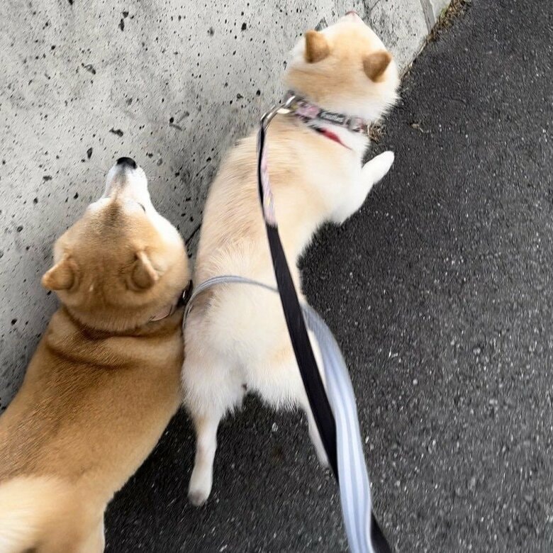 からの“割り込み”！