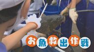 小学生が「お魚救出作戦」決行 貴重種に大興奮も 農業用水路に残る魚を救い生態系学ぶ【新潟発】