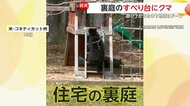 「信じられない！滑ってるよ！」好奇心旺盛な若いクマがすべり台から“ツルッー”地面に“ドーン”…思わぬ事態にびっくり顔　アメリカ
