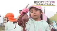 園児がサツマイモ「紅はるか」収穫　約１００キロの収穫に「天ぷらで食べたい」と笑顔〈宮城〉