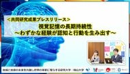視覚記憶の長期持続性～わずかな経験が認知と行動を生み出す～〔岡山大学, 日本赤十字広島看護大学〕