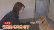 “やっぱりいらない”をなくしたい…イヌ・ネコ殺処分ゼロへ　新しい飼い主を“急かさず”マッチング　最短でなく“最善”を【鳥取発】