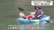愛犬と一緒に海へ　全国でも珍しい犬専用ビーチがオープン　「めちゃめちゃ楽しいって言ってます」犬も飼い主も大喜び　兵庫・豊岡市