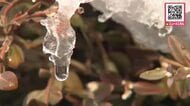 【北海道もぽかぽか春の気配？】函館で11℃予想＿札幌は最低気温がプラス！日中は8℃予想も＿積雪多い地域では急な雪解けの恐れ…屋根からの落雪や道路状況の変化に注意を