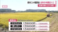 コメ概算金が去年の半額近くに下落 さがびよりは1万6000円【佐賀県】