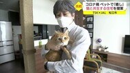 「ネコも住人も幸せに暮らしたい」共生住宅を開発 ネコ愛があふれすぎている驚きの設計に触れた(松江市)