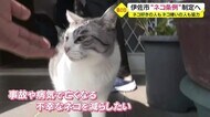 2022年2月22日「猫の日」 鹿児島・伊佐市「猫条例」制定へ