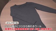 売上3倍!新トレンドは天然素材「メリノウール」 肌触りもよく吸湿性、抗菌・防臭効果で冬だけでなく春や秋にも