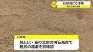軽石 石垣にも