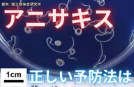 【注意】サバ・イカ・アジも…「アニサキス」食中毒はなぜ起きる？正しい予防法を専門家に聞いた