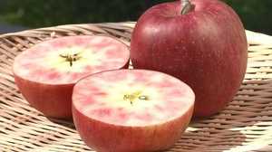 Crimson to the Core: Nagano’s All-New Apple Strains Make a Splash