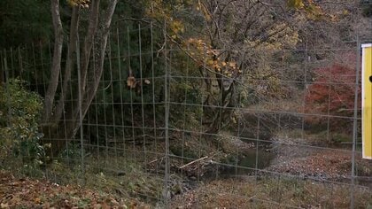 自宅の庭先でクマに襲われ74歳男性ケガ　付近でクマ目撃情報も　栃木・鹿沼市