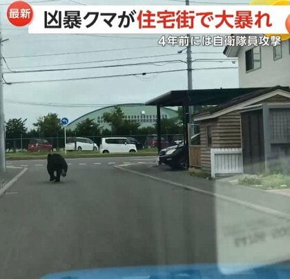 「まさか自分が」秋田でクマが体当たり…出没相次ぎ死者数は“過去最悪”13人　“災害級被害”に自衛隊派遣も　専門家「今手を打つ必要」