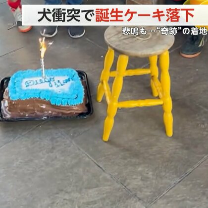 犬“衝突”でバースデーケーキが落下　子どもたちの表情一変も…奇跡的にきれいなまま着地　ブラジル