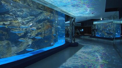 ペンギンに「おかえり！」営業再開した能登の観光スポット…復興へ歩む能登島周辺で夏の思い出づくり