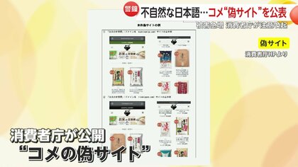 NEWS 会報まとめ売り傷なし 誹謗中傷・逆SEO対策なら日本一安い個人専門のQ-MIXへ | 東京都