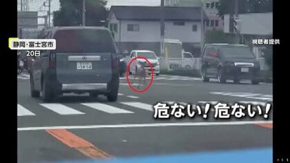 死んでる象 ボツワナでゾウが275頭以上が原因不明の大量死 政府が調査
