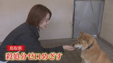“やっぱりいらない”をなくしたい…イヌ・ネコ殺処分ゼロへ　新しい飼い主を“急かさず”マッチング　最短でなく“最善”を【鳥取発】