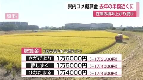 コメ概算金が去年の半額近くに下落 さがびよりは1万6000円【佐賀県】