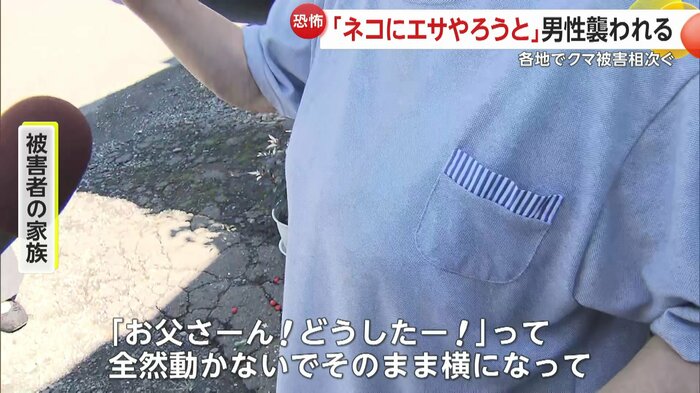 ネコに餌を与えようとしてクマに襲われた男性の家族は…
