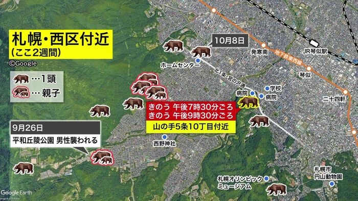 連日のようにクマの目撃情報