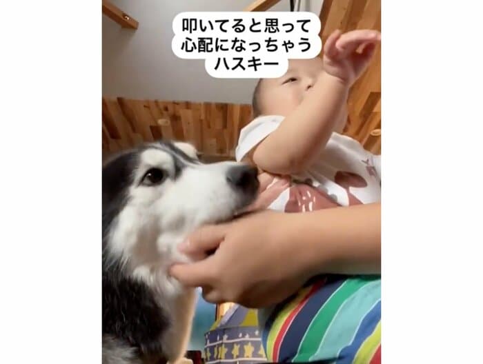 提供:akariさん