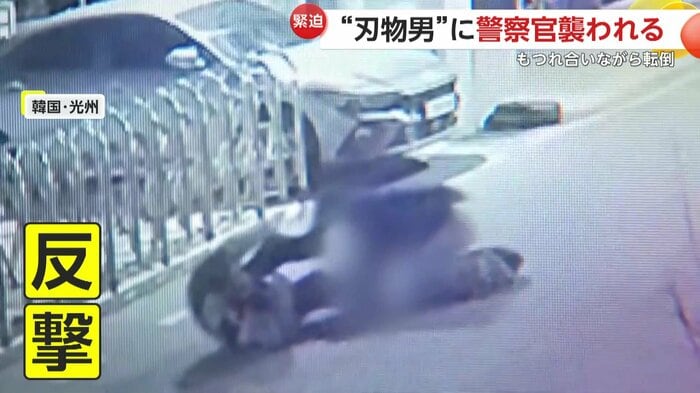 もつれ合いながら転ぶ警察官と刃物を持った男